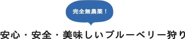 完全無農薬！安心・安全・美味しいブルーベリー狩り