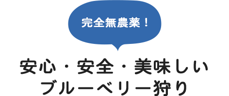 完全無農薬！安心・安全・美味しいブルーベリー狩り