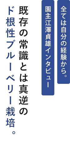 既存の常識とは真逆のど根性ブルーベリー栽培