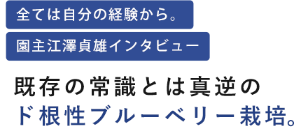 既存の常識とは真逆のど根性ブルーベリー栽培