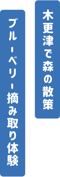 木更津で森の散策　ブルーベリー摘み取り体験